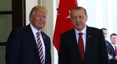 أردوغان وترامب يبحثان تطورات الأزمة الليبية